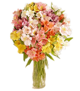 Colorful theme Bouquet