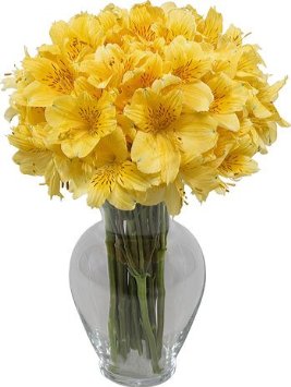 Bright Yellow Bouquet