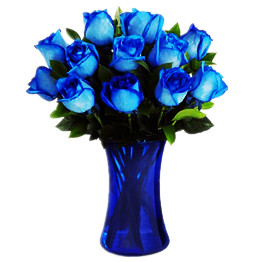 12 blue roses