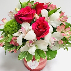 Loved with Hot Pink Roses
