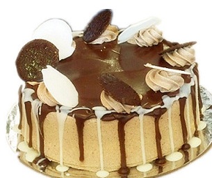 Choclate Mousse Cake 