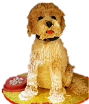 Dog Cake
