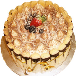 Tiramisu cake