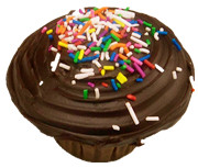 Chocolate Cupcake