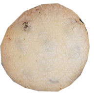 Raisin Cookie