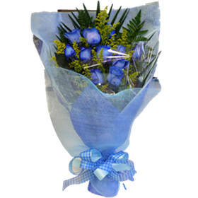 Blue roses dozen