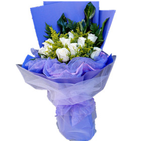 White roses premium wrap