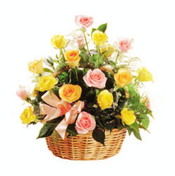 Bright basket
