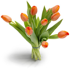 Orange Tulip Bouquet