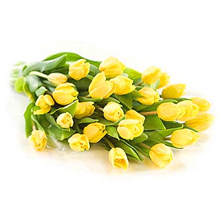 Yellow Tulip Bouquet