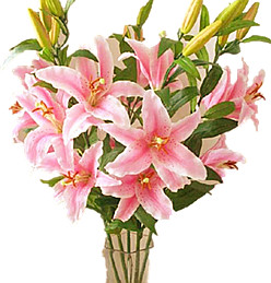 Pink Lily Bouquet