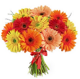 Colorful Gerbera Daisy Bouquet