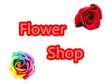 Toronto Flower shop