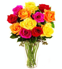 Mixed roses bouquet (dozen)