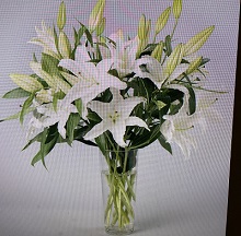 White Lilies Arrangement