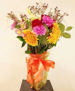 Cheerful Arrangement