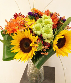 SunShine Arrangement