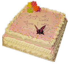 Butterfly cake