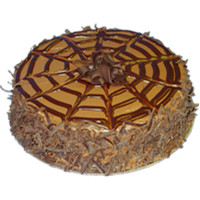 Chocolate mousse cake