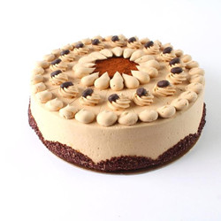 Mocha Cake