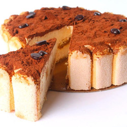 Tiramisu Cake