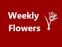 Weekly Flowers