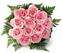 Medium pink roses (dozen)