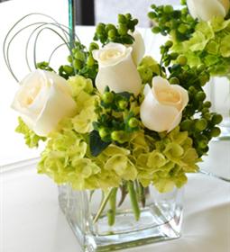 White green arrangement